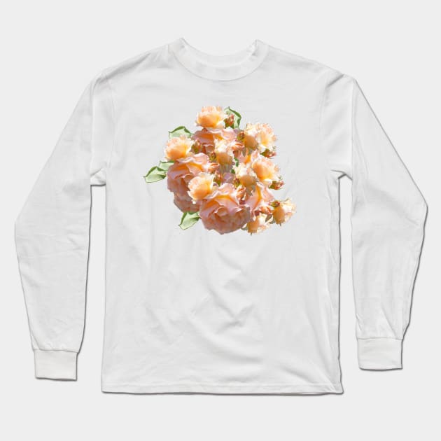 Roses - Magpie Springs - Adelaide Hills Wine Region - Fleurieu Peninsula - South Australia Long Sleeve T-Shirt by MagpieSprings